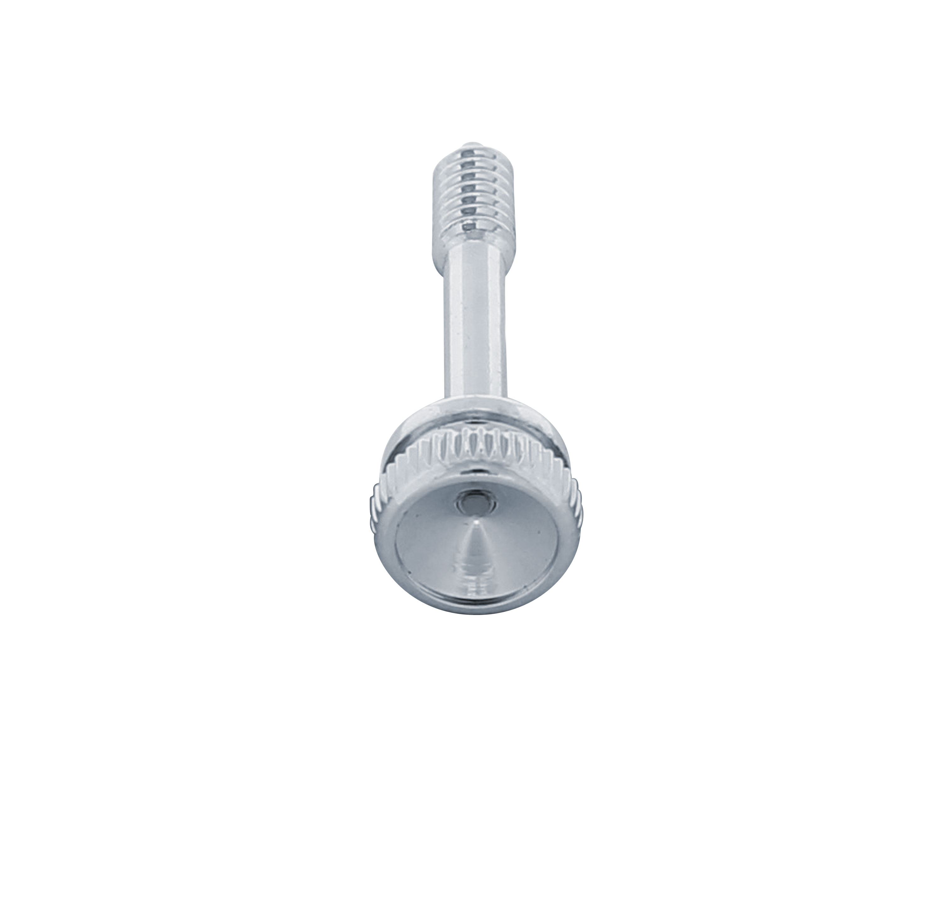 Chrome Peterbilt 357 Dash Screw - Indented