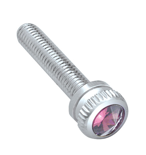 (6/Card) Chrome 2002 Kenworth Dash Screw W/ Diamond - Purple