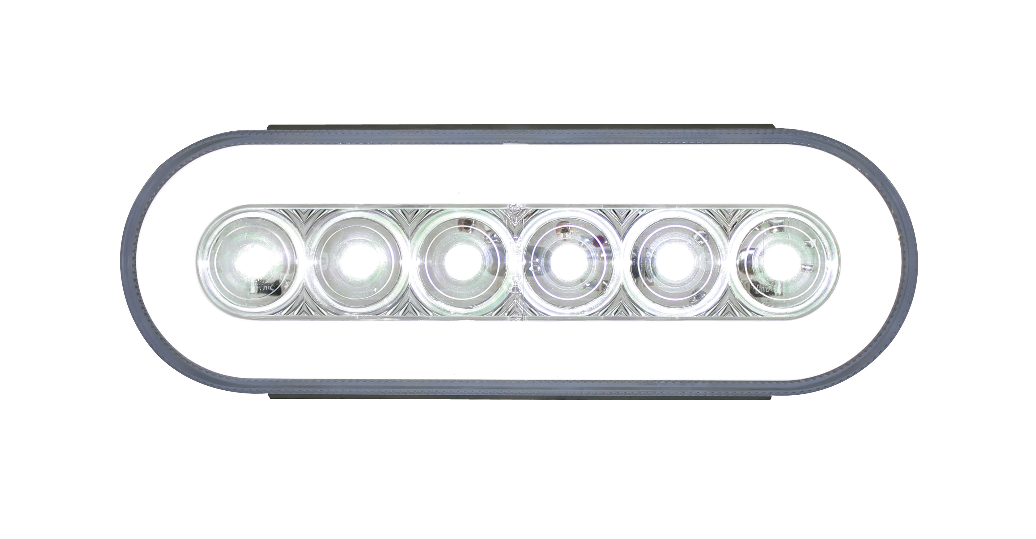 22 Led 6" Oval Glo Back-Up Light - White