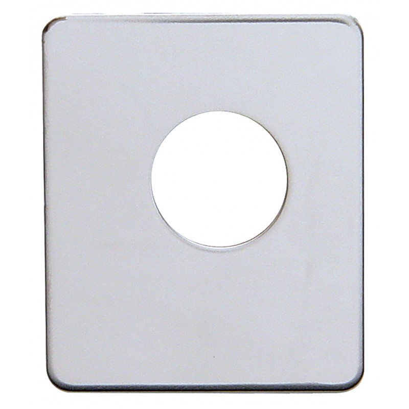 Stainless Steel Peterbilt Switch Plate - Blank
