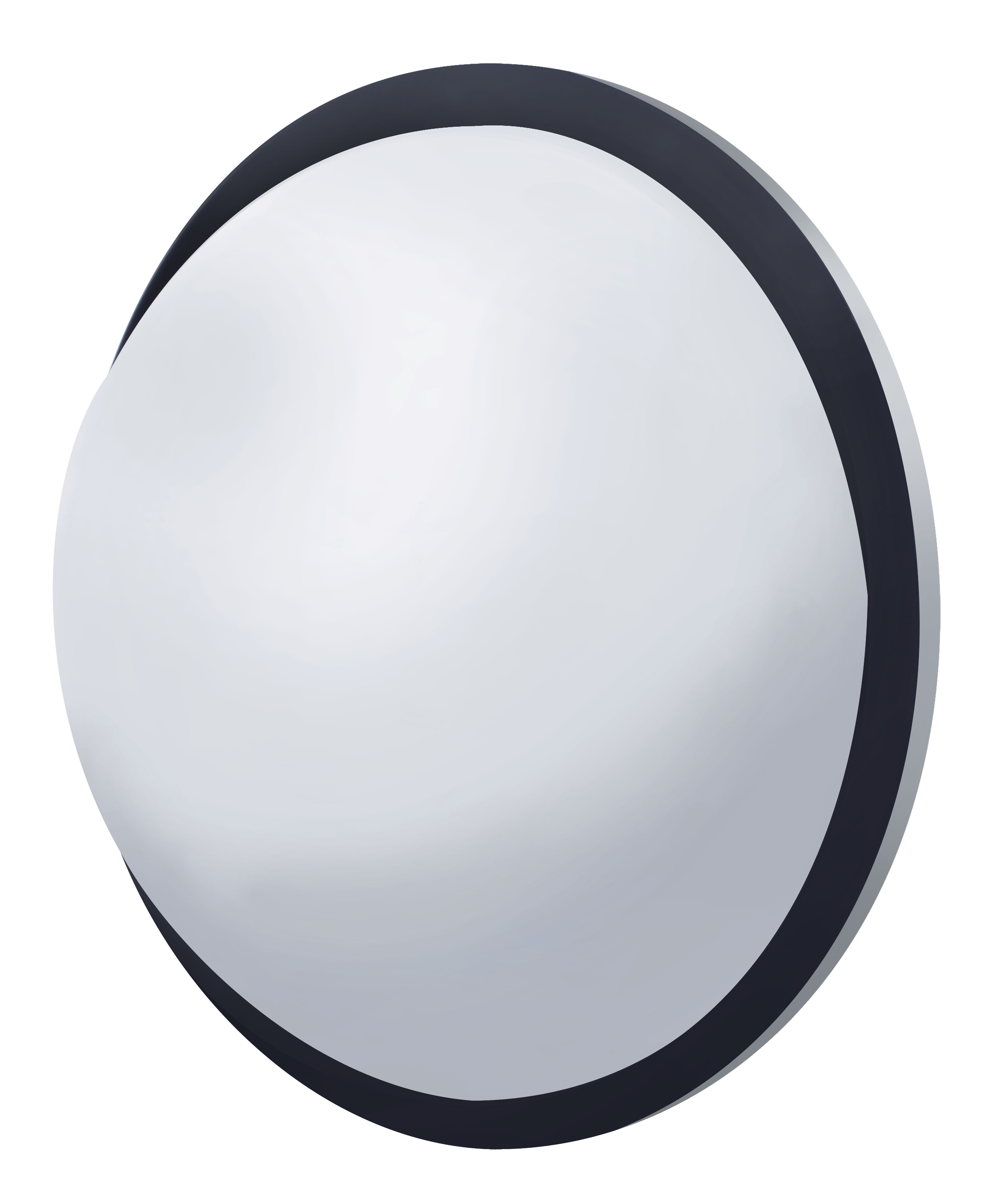 Stainless 8 1/2 Convex Fisheye Mirror