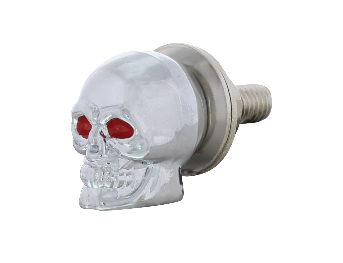 Chrome Plastic Skull License Plate Fastener