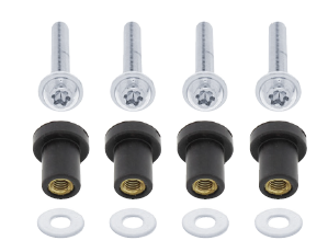 FL Century 2005+ Grill Screw Set  - Available in Chrome
