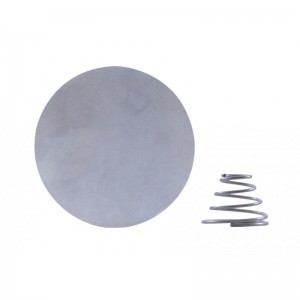 #46116'S 1-Diaphragm/1-Spring Kit