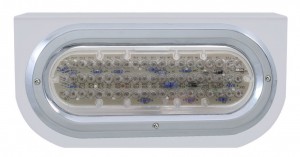 Stainless Steel Light Bracket W/ 60 Amber Led Oval Light W/ Bezel - Clear Lens