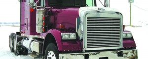 Freightliner, Classic Side Hood Deflector, (2004+)