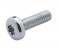 (2/Card) Chrome Kenworth Oem Dash Short Screw