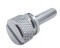 (2/Card) Chrome Kenworth Dash Short Screws - Plain