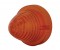 Torpedo Cab Light Lens - Amber