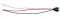 3 Wire Plug - White Ground Wire W/ #10 Ring Termination