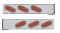 (2/Bulk) Stainless Steel 2 Pcs. Rear Light Bar W/ 6 Slanted 19 Led Oval Red Lens Light W/ Visor - 4 Hole Flange Mount
