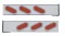 (2/Bulk) Stainless Steel 2 Pcs. Rear Lt Bar W/ 6 Slanted 12 Led Oval Red Lens Reflector Lt W/ Bezel - 4 Hole Flange Mount