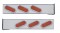 (2/Bulk) Stainless Steel 2 Pcs. Rear Light Bar W/ 6 Slanted 19 Red Led Oval Red Lens Light W/ Bezel - 4 Hole Flange Mount