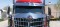 Hoodshield Bug Deflector for International, Lonestar
